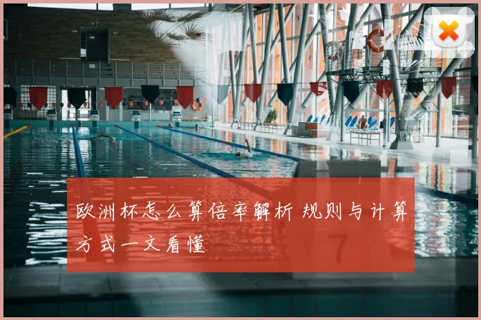 欧洲杯怎么算倍率解析 规则与计算方式一文看懂