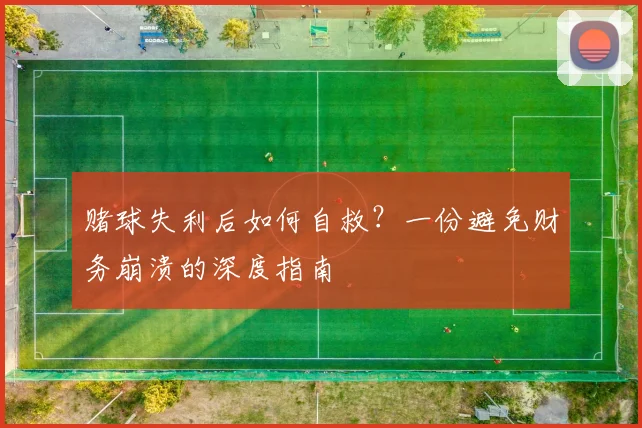 赌球失利后如何自救?一份避免财务崩溃的深度指南