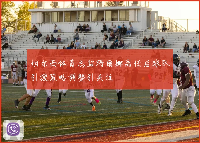 切尔西体育总监玛丽娜离任后球队引援策略调整引关注